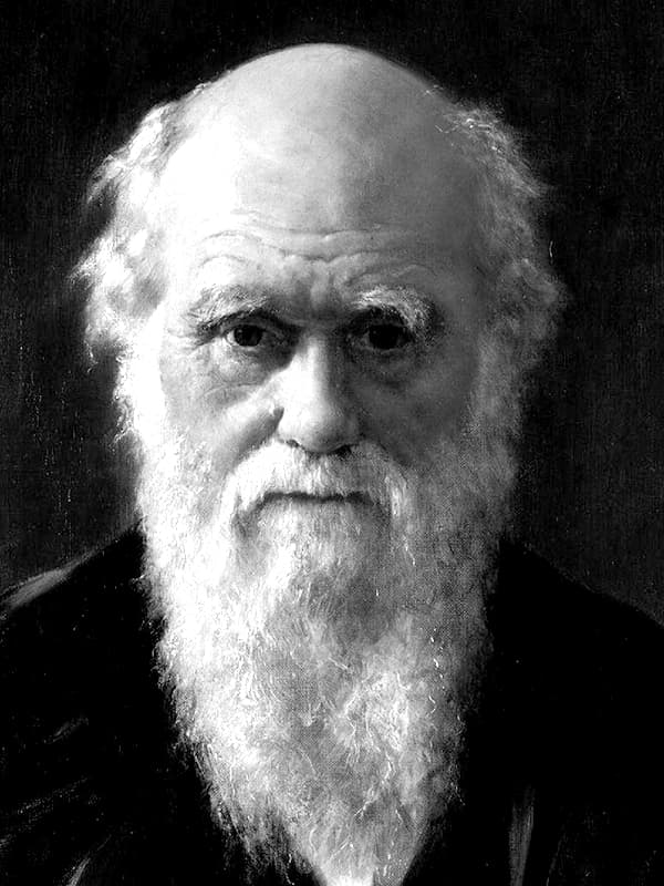 Чарльз Дарвин – биография, фото, личная жизнь, теория происхождения видов,  эволюция - 24СМИ