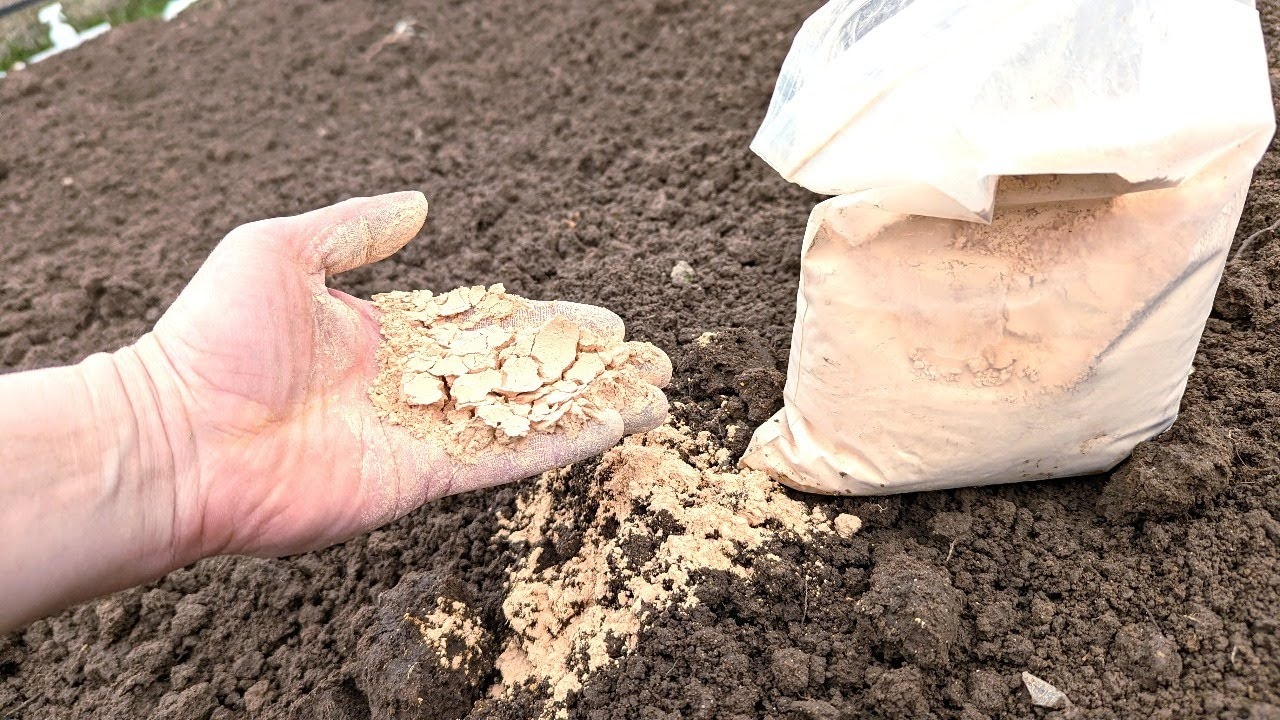 Земля на грядках оживет без навоза: эта смесь из 2 компонентов улучшает почву и отпугивает вредителей