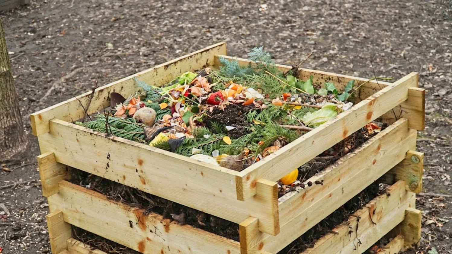 Дачники недооценивают этот прием: как при помощи простой смеси сделать компост реактивным
