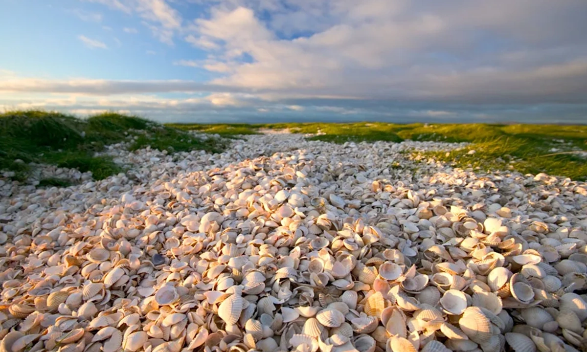 Этот остров создал человек: как древние отходы превратились в сушу и удивили ученых спустя века