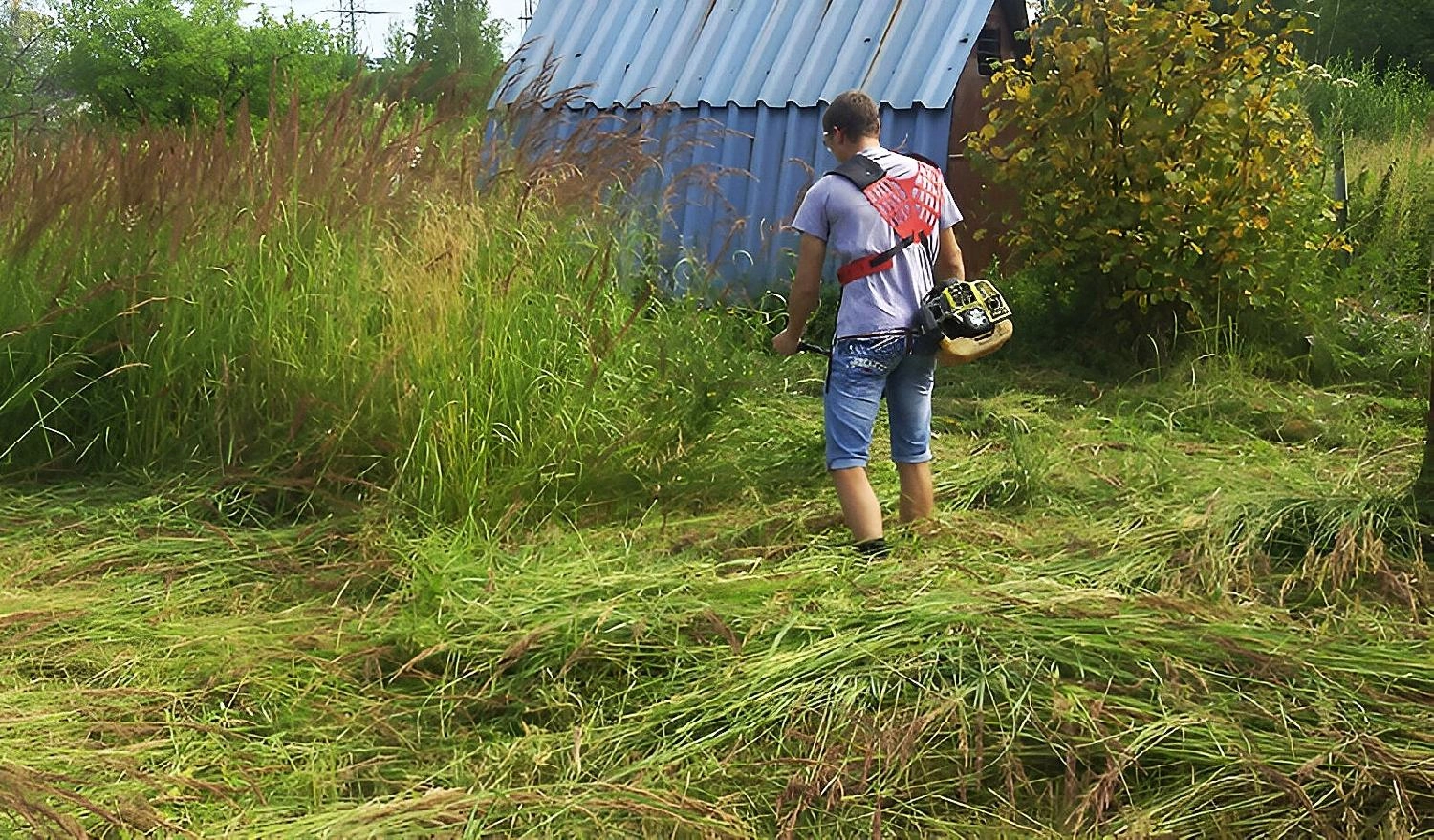 Как преобразить заброшенный участок: пошаговый план — за один сезон от хаоса не останется и следа