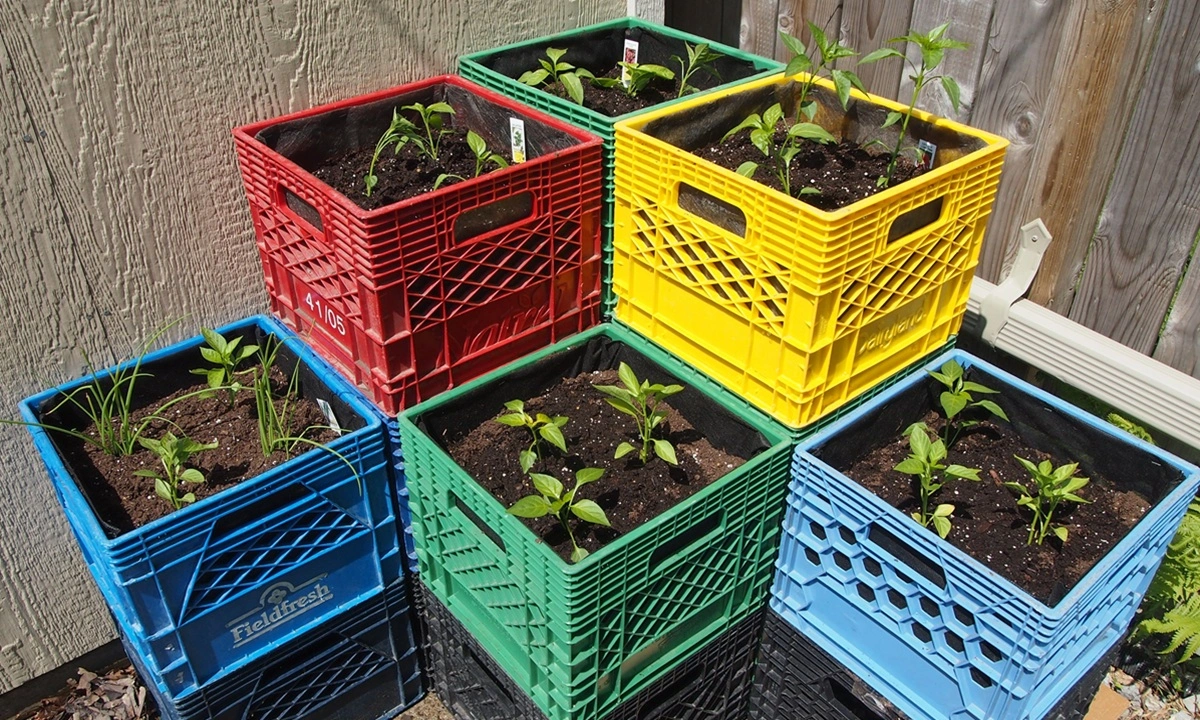 Ящики из-под овощей работают в быту: как превратить тару из супермаркета в грядки и системы хранения