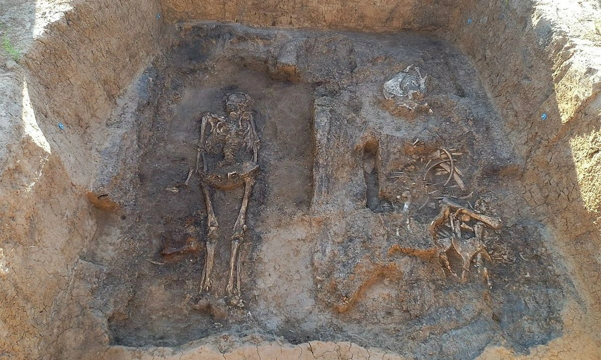 Под Суздалем вскрыли элитную гробницу: что спустя 1000 лет рассказали вещи о статусе их владельца