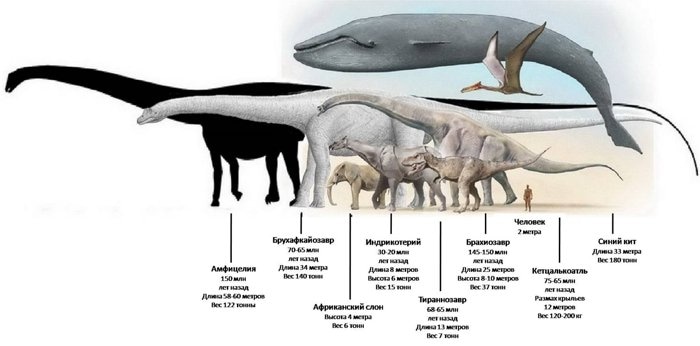 Samyj Bolshoj Dinozavr 24smi