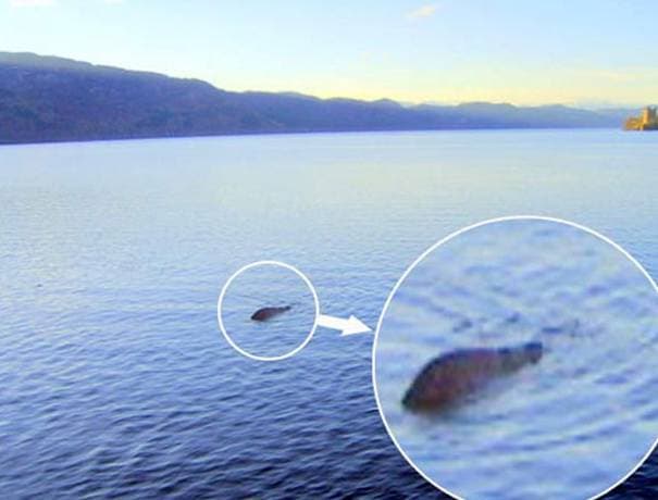 Озеро лохнесс чудовище реальное фото