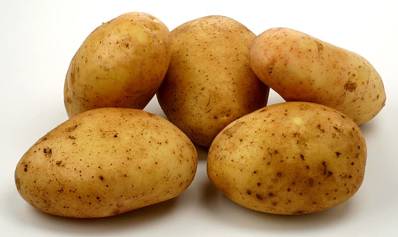 В США фото грязной картошки продали за $1 млн - 24СМИ