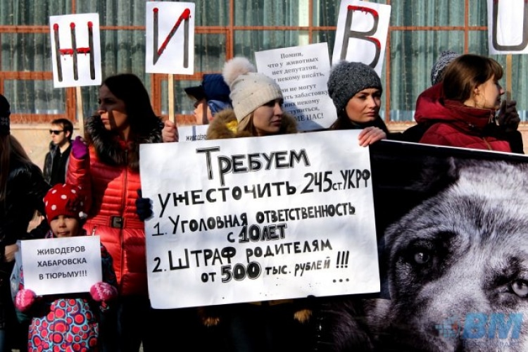 В Хабаровске прошел митинг за наказание девушек-живодерок -24СМИ