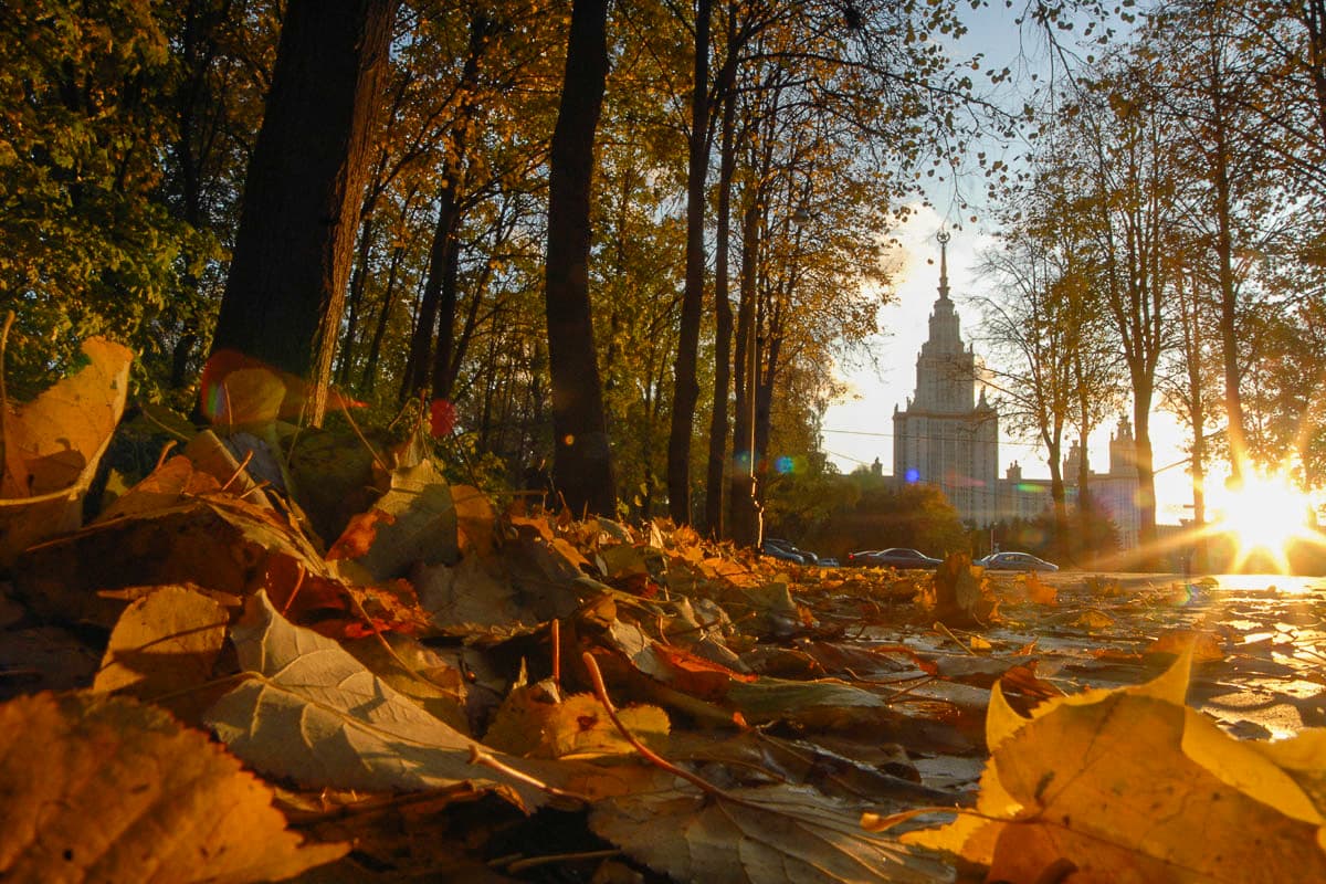 Осень в Москве МГУ