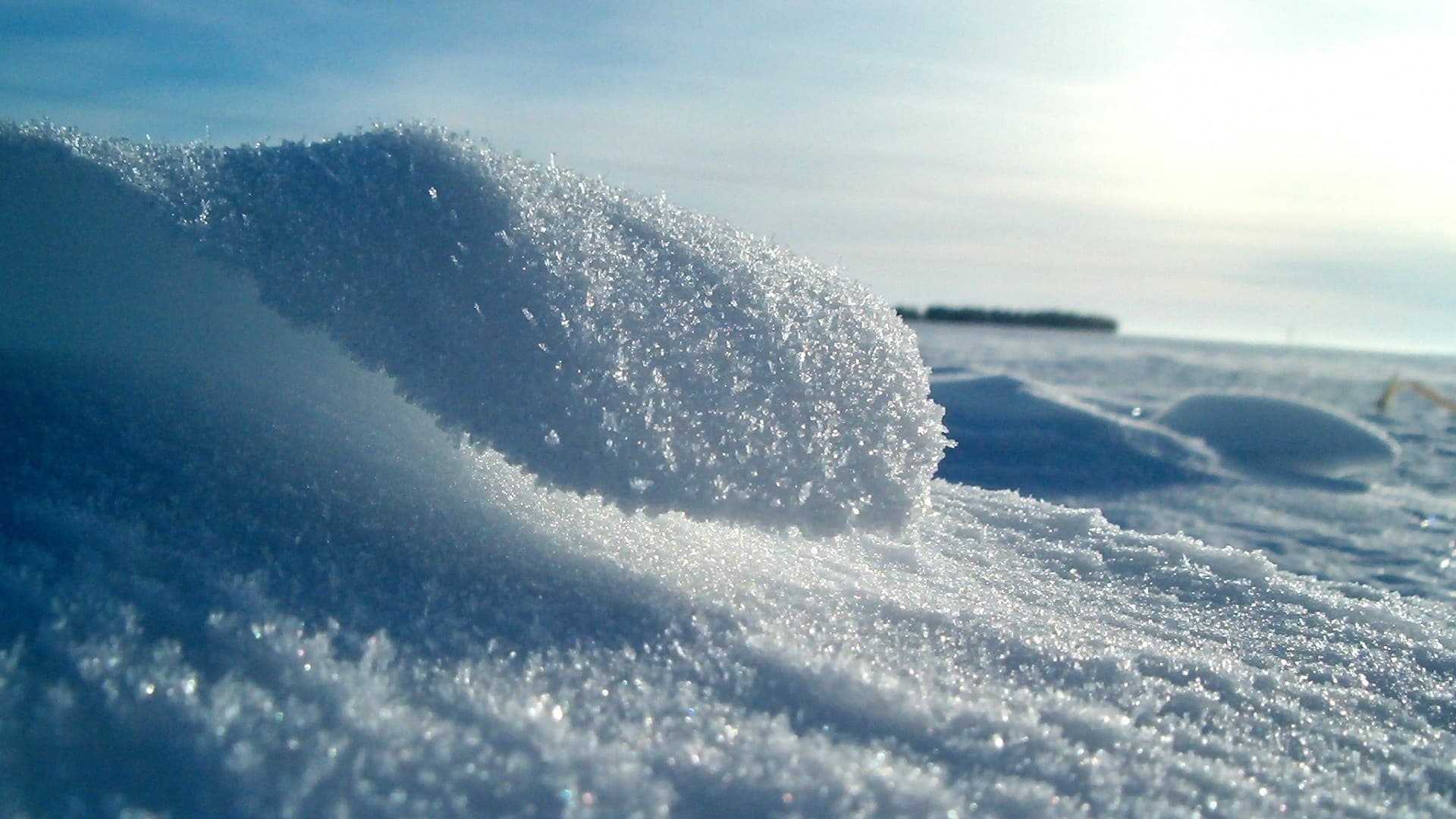 «Арктический мешок»: на Россию идут аномальные холода