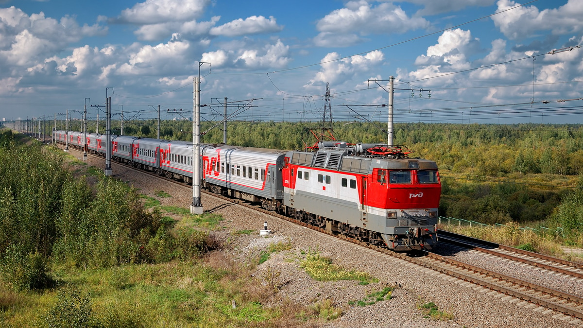 Поезд «Ташкент – Москва» задержался из-за верблюда на рельсах