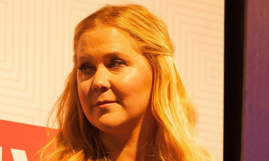 Эми Шумер диагностировали болезнь Лайма - 24СМИ