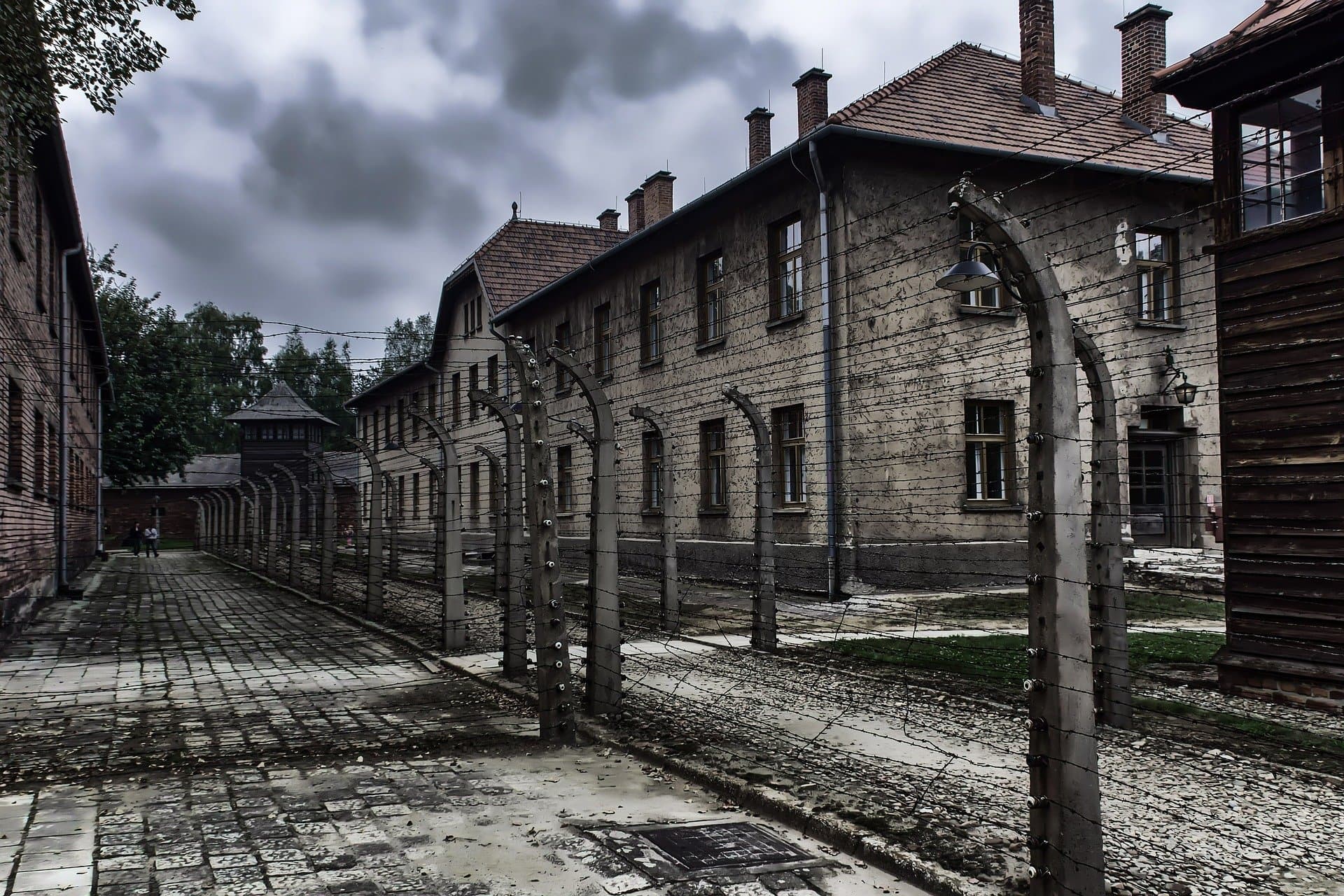 Холокост — мифы и факты о незабытой трагедии XX века