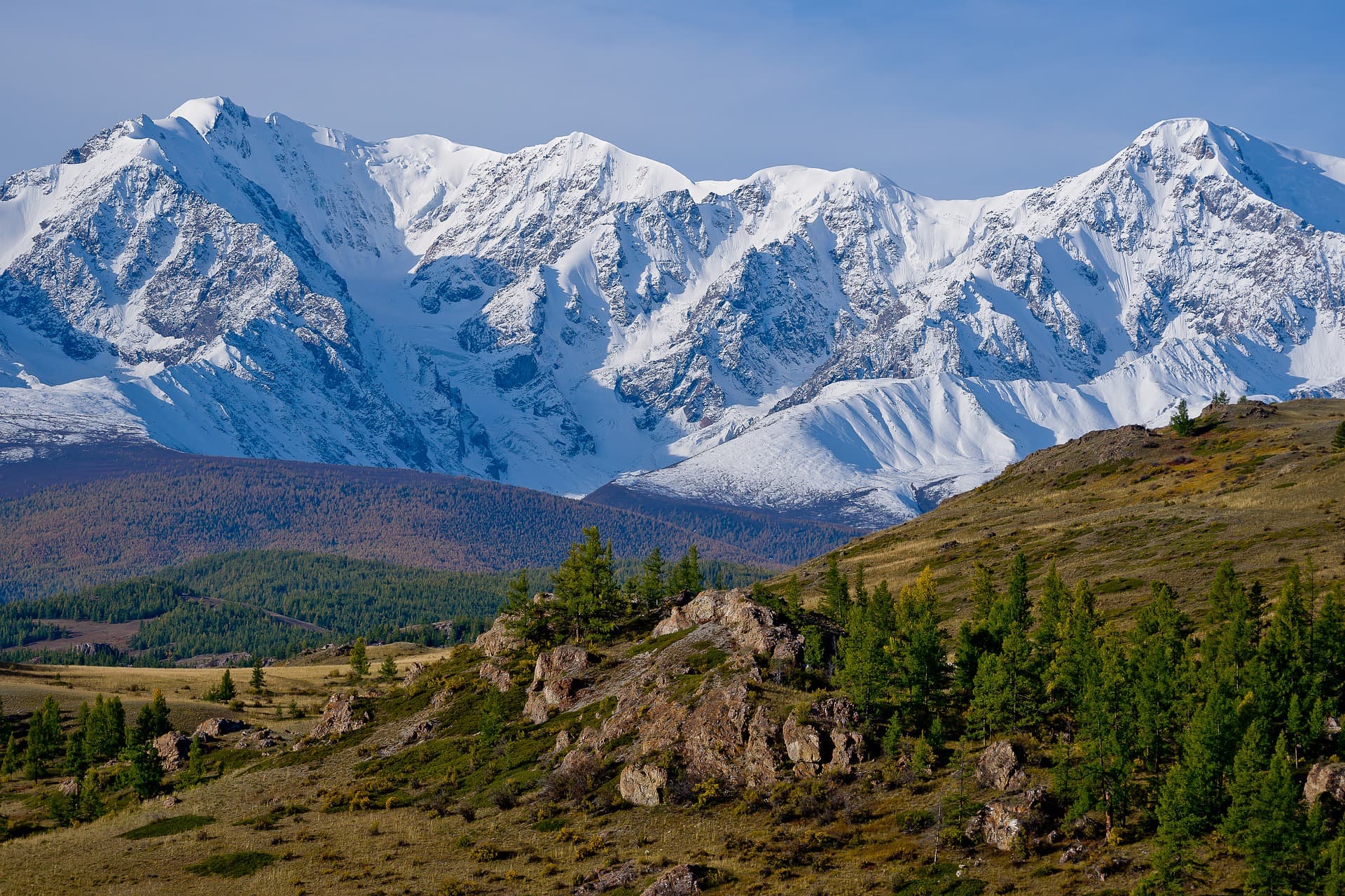 Алтайский заповедник и его особенности: цели создания, охраняемые виды и другие интересные факты