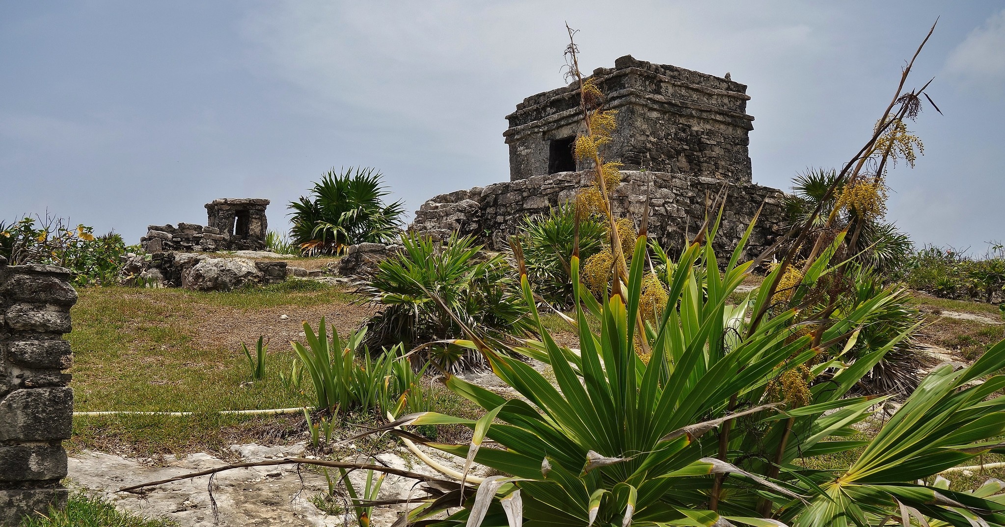 «Непонимающий» полуостров — Юкатан и его особенности: история возникновения, природа, обитатели и другие факты