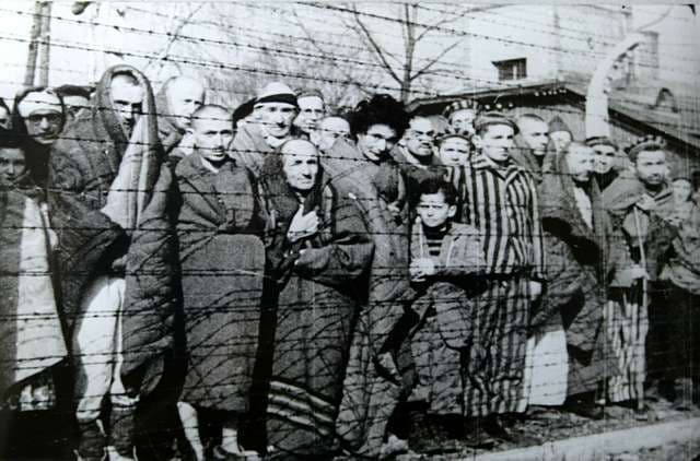 Освенцим  безжалостная история немецкого концлагеря