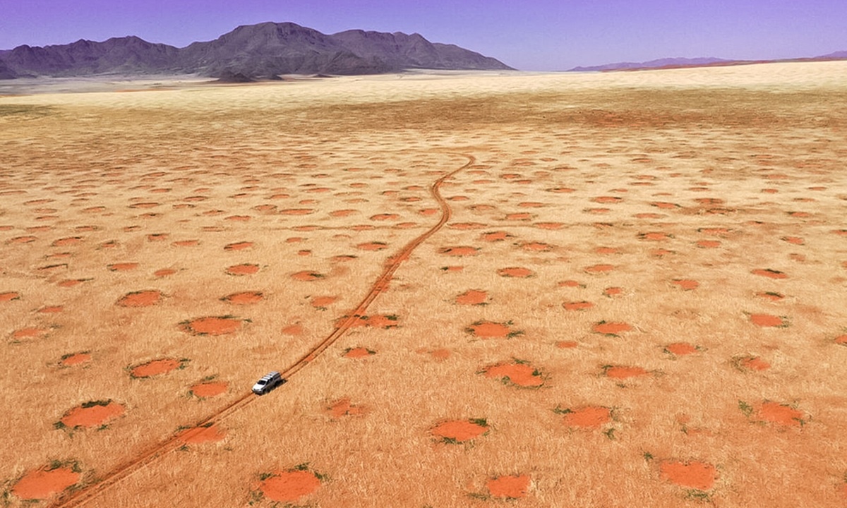 Где танцуют ведьмы: ученые объяснили появление таинственных кругов в Намибии и Австралии