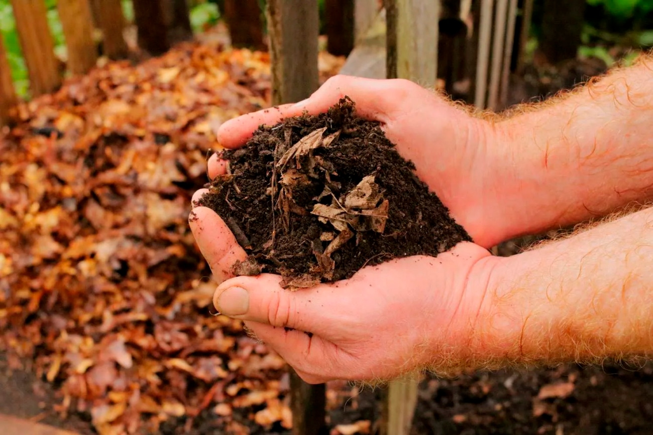 Компост можно разбудить даже зимой: дрожжевой коктейль заставляет кучу работать без остановки