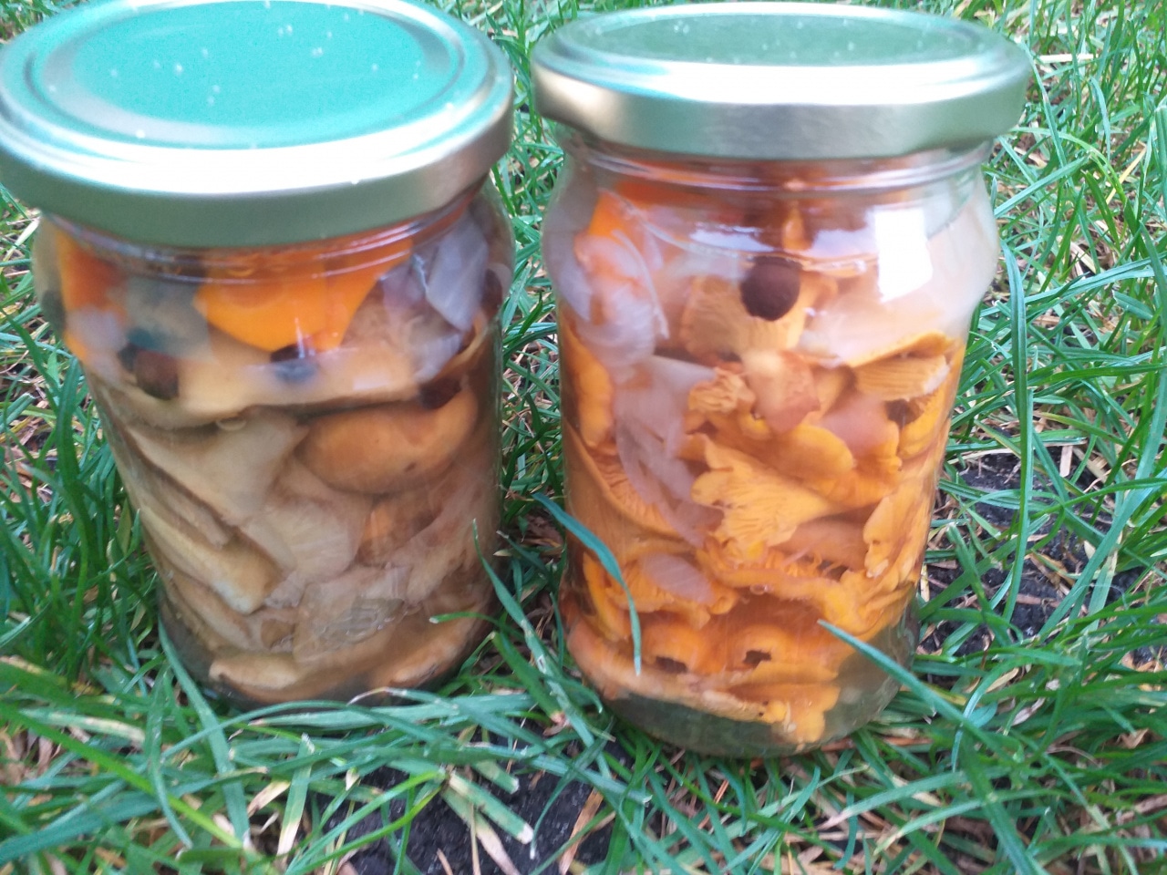 Полчаса работы  и в холода пахнет лесом: грибной суп в виде заготовки  радость на всю зиму