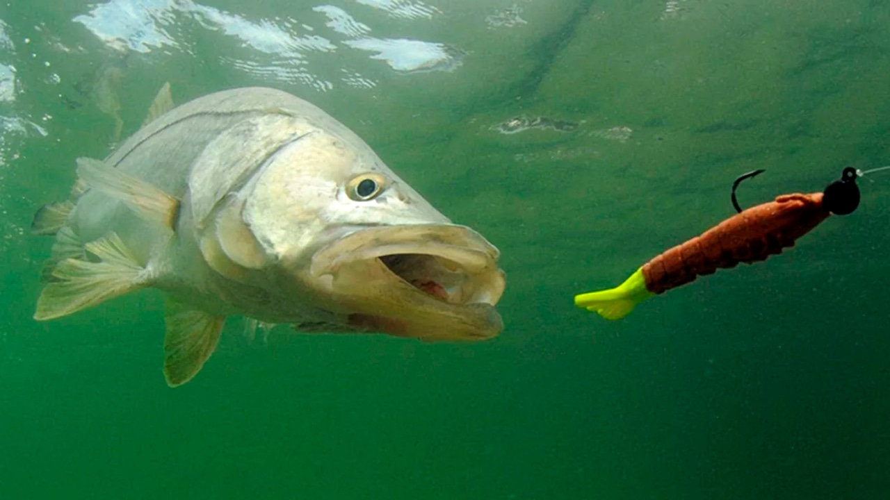 Поздняя осень не повод уезжать без улова: один секрет глубины делает рыбалку в ноябре удивительно результативной