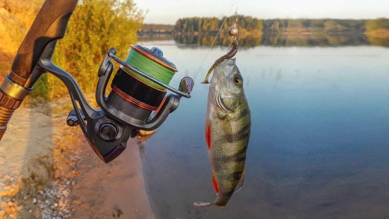 Окунь перестал клевать  но этот трюк спас ситуацию: всего одна деталь на снасти меняет все