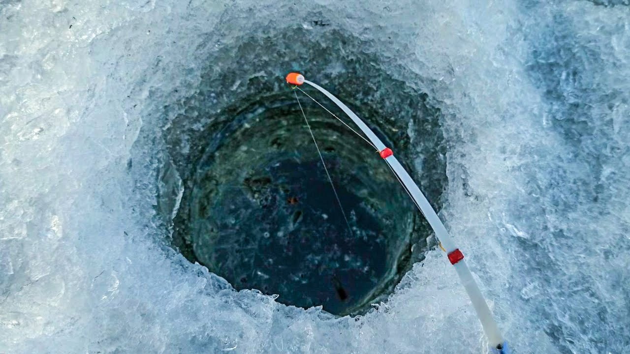 Прозрачная или яркая: правда о цвете лески на зимней рыбалке