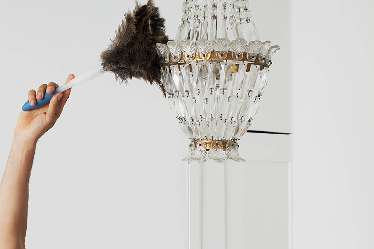 Эти вещи в доме опаснее мусорного ведра: вот где скапливаются бактерии