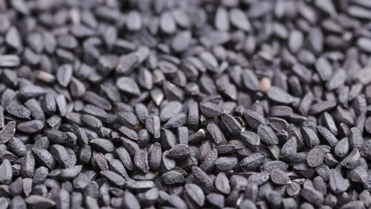 Эта специя снижает холестерин: японские ученые удивили результатами исследования