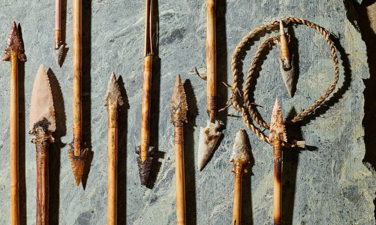 Смертельное оружие Homo sapiens найдено спустя 60 тысяч лет