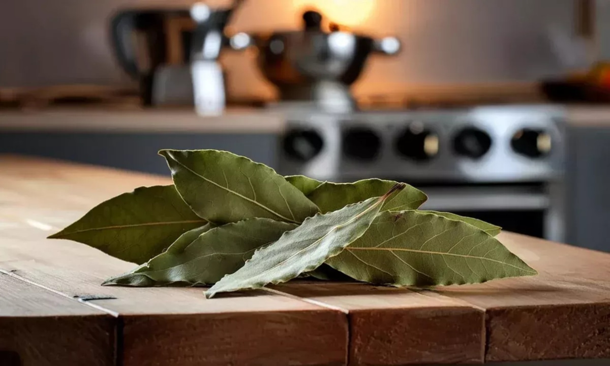 Чтобы дома было чисто  возьмите лаврушку: этот кухонный листик заменит освежитель и химию