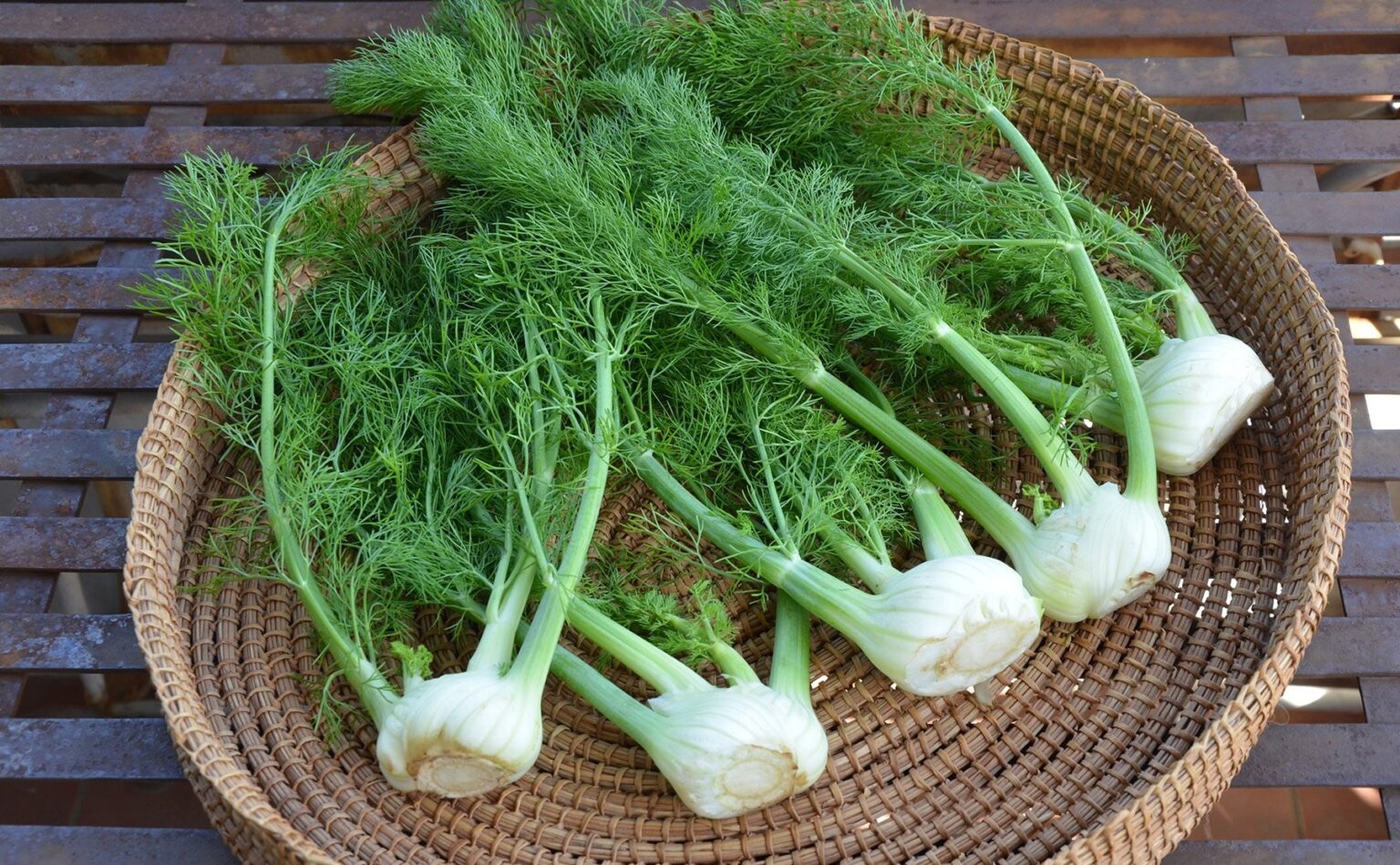 Эта пряность меняет вкус постепенно: куда добавлять фенхель, чтобы блюда заиграли