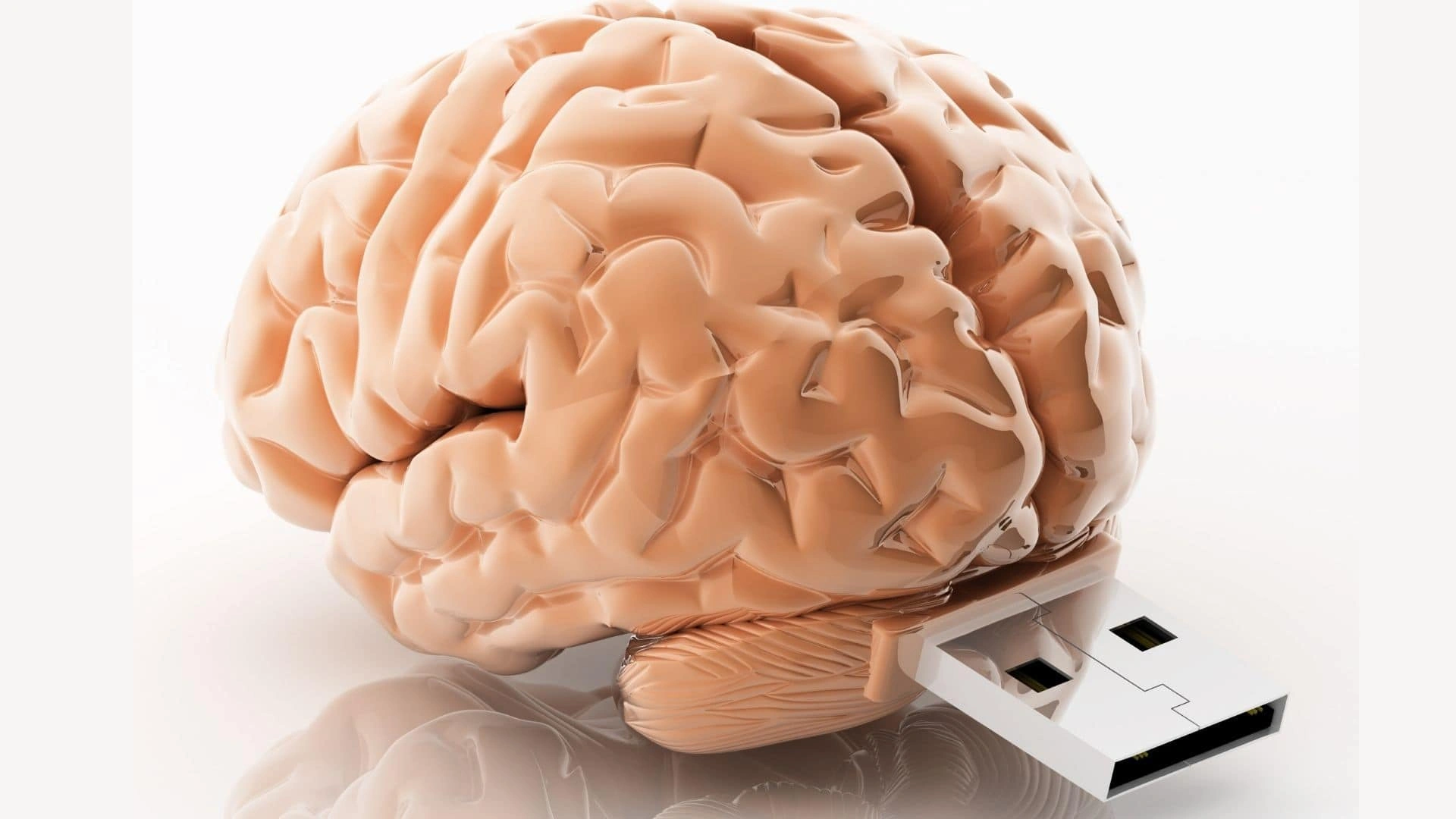 Как прокачать память на годы вперед: рабочие методы для детей, взрослых и пожилых