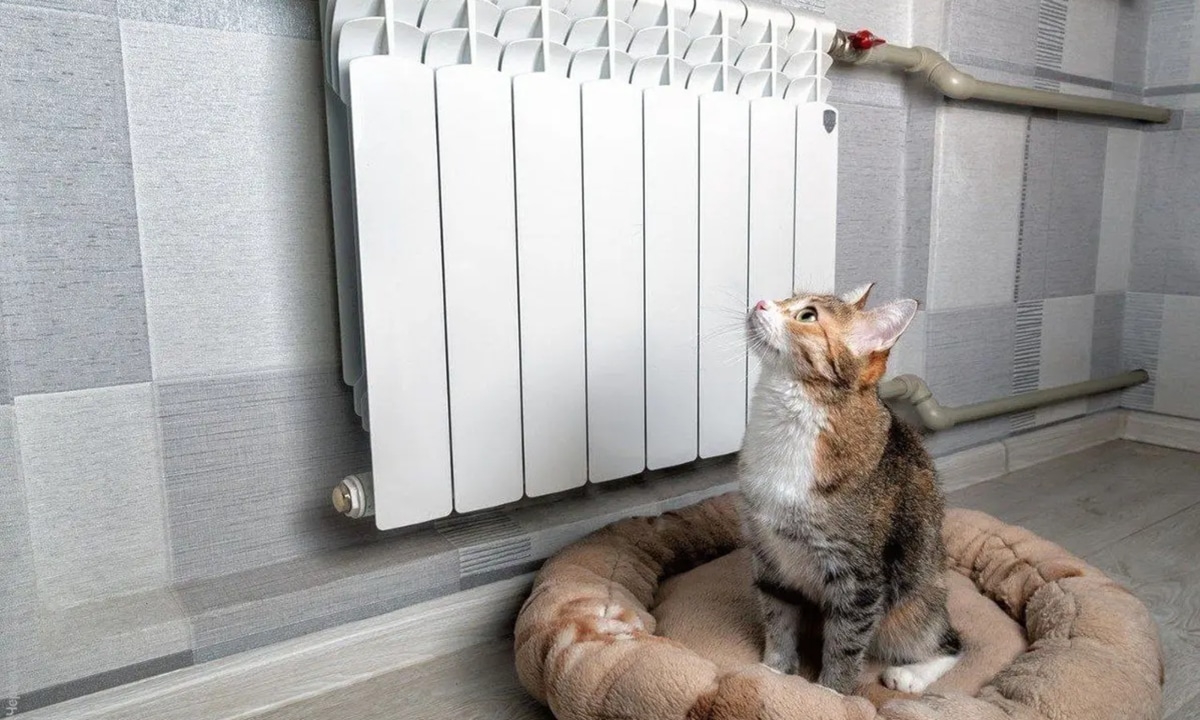 Если батареи стали хуже греть: уделяйте этому 25 минут дважды в год  и тепло вернется