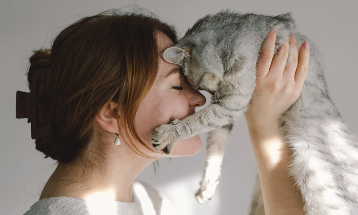 Как признаться в любви своей кошке: 5 способов сказать люблю на ее языке
