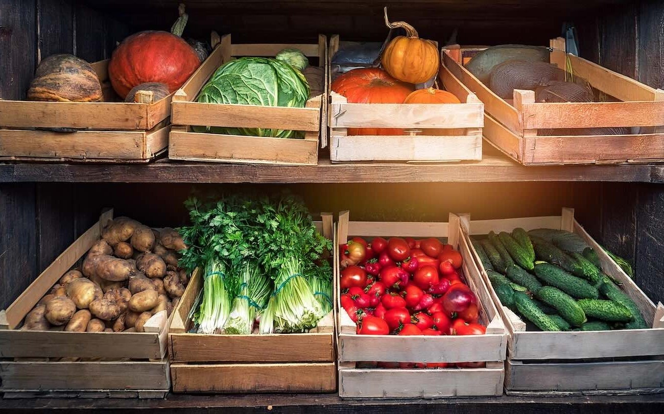 Как избавиться от плесени в погребе: этот мешок справится лучше вентиляции