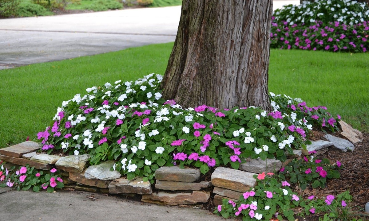 Газон под деревом  плохая идея: с деревьями дружат только эти растения