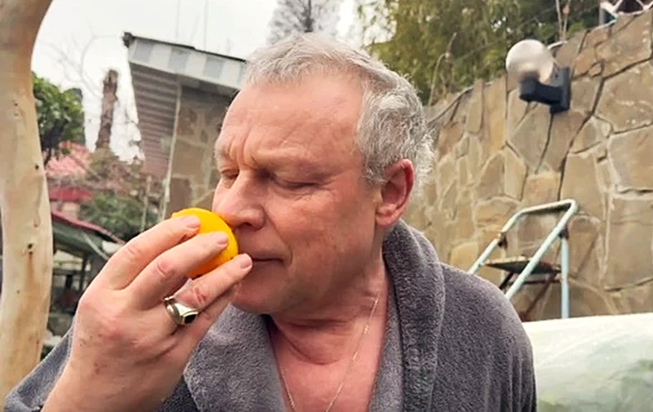 Сергей Жигунов увлекся садоводством: сладкий первый урожай без косточек