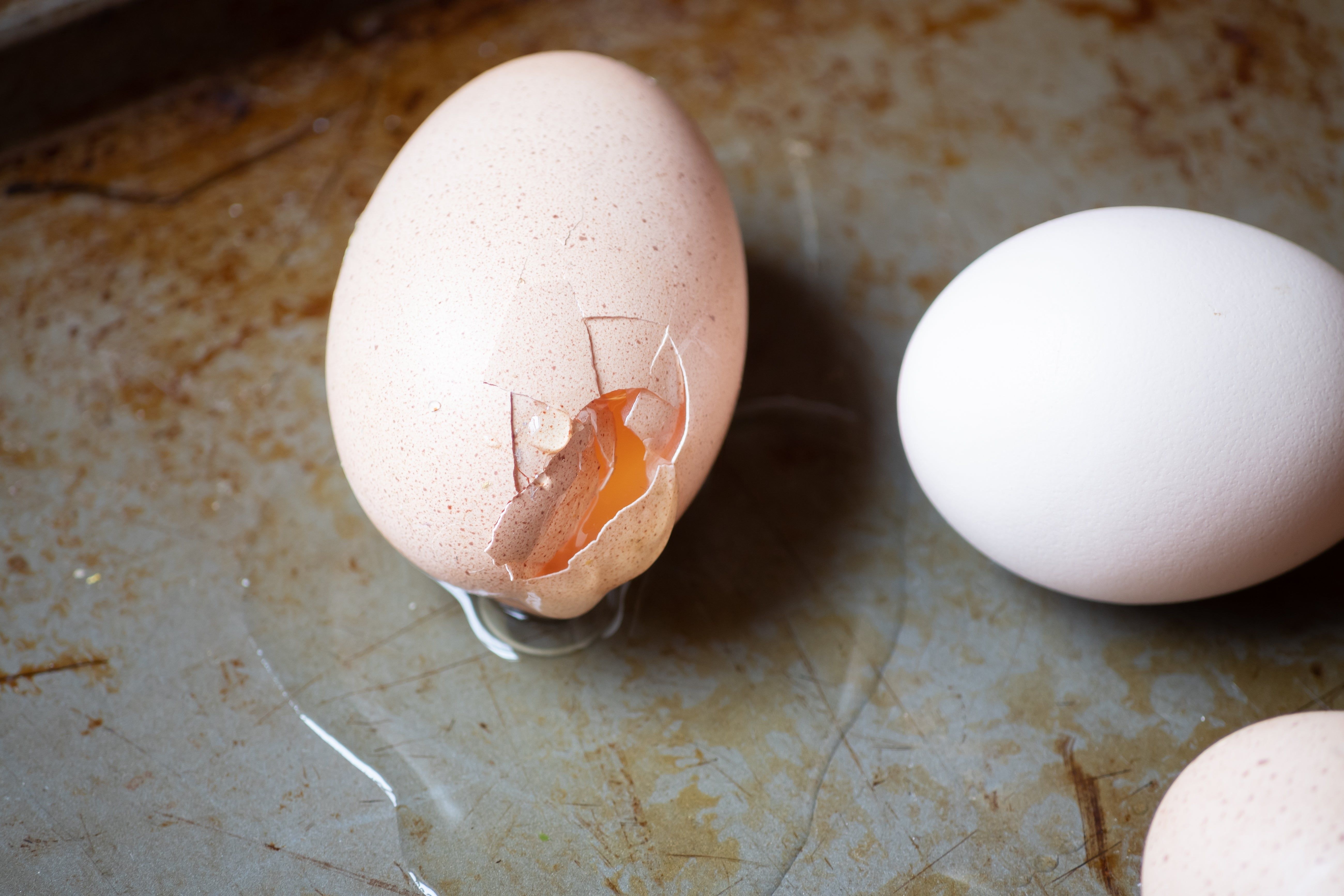 Если зимой куры стали нести хрупкие яйца: почему скорлупа стала тонкой и как это исправить