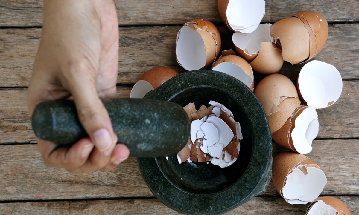 Экономные хозяйки скорлупу не выбрасывают: как яичные очистки помогают в быту