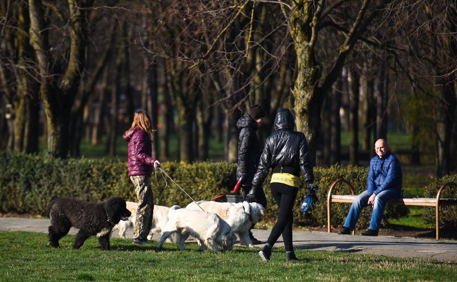 Вы не лечите животных, а губите их: почему таблетки для людей нельзя давать питомцам