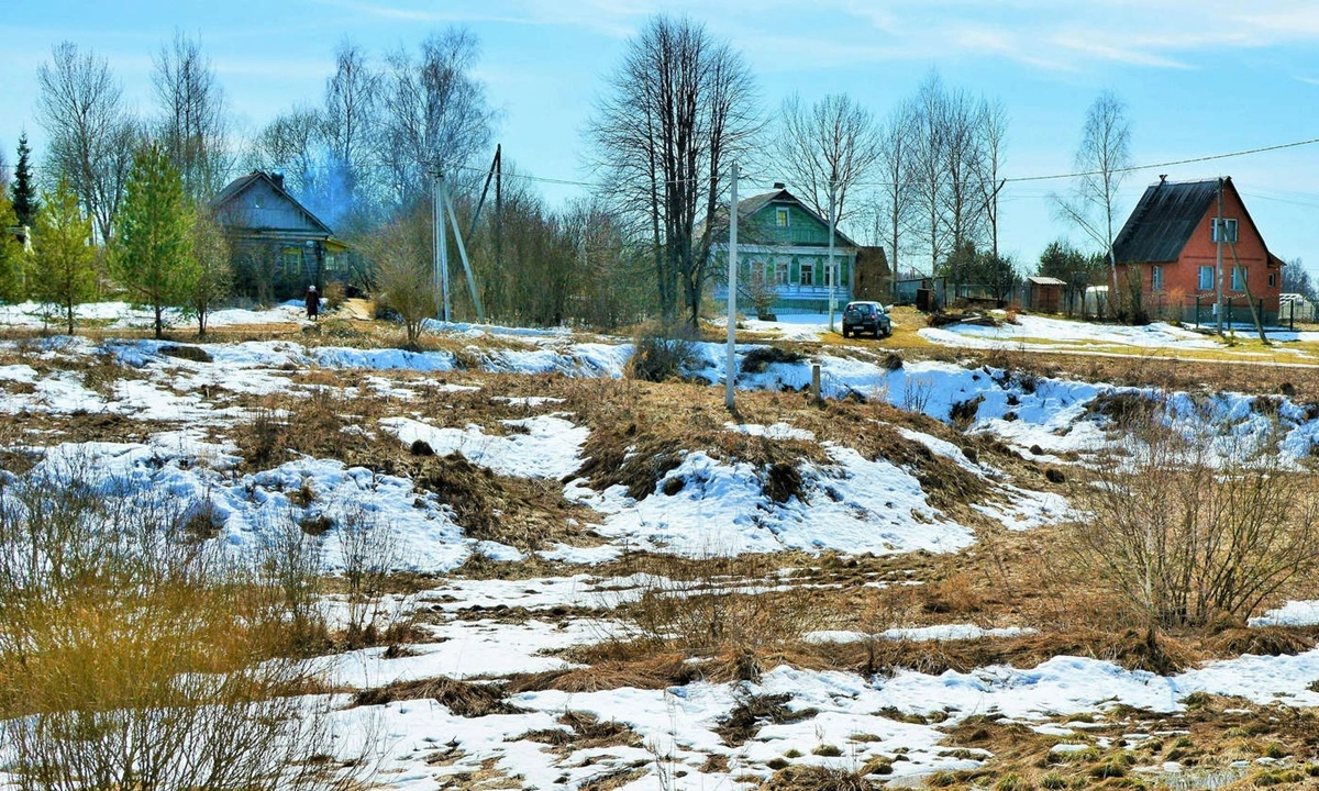 Первые дачные работы в марте: что важнее всего сделать в начале сезона  нет, речь не про грядки