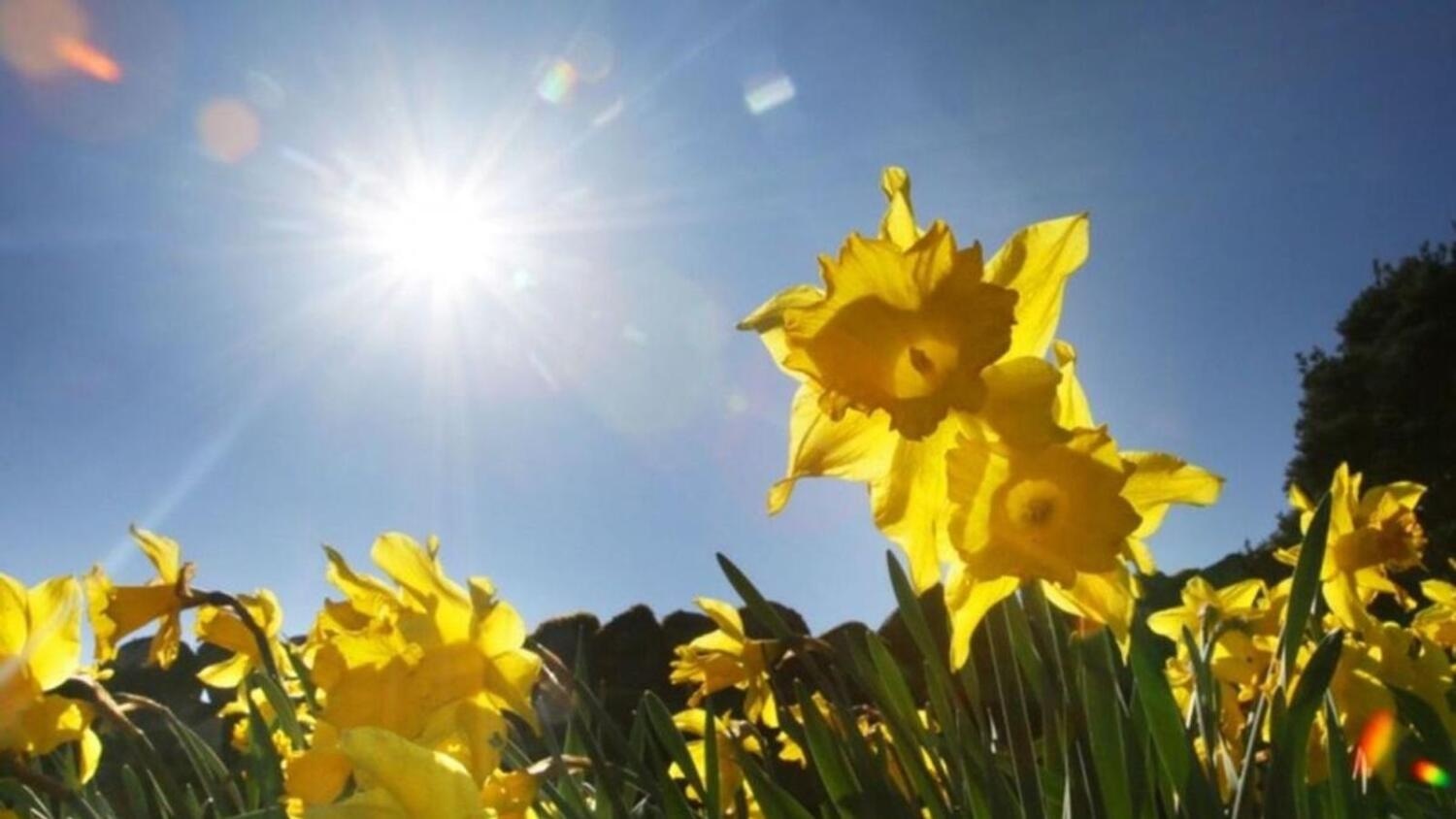 Почему глаза сильнее всего страдают в марте: как весеннее солнце может действовать на зрение