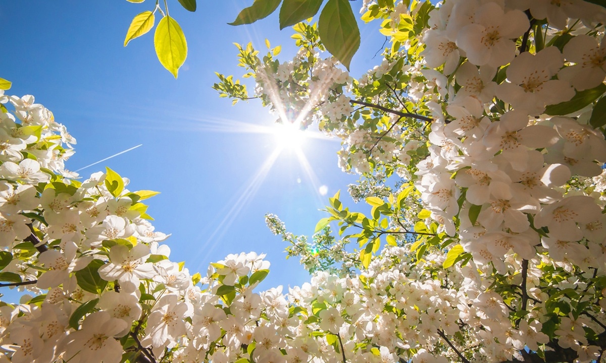 Вы зря поверили солнцу и сняли куртку: что такое майская ловушка тепла и как обезопасить себя