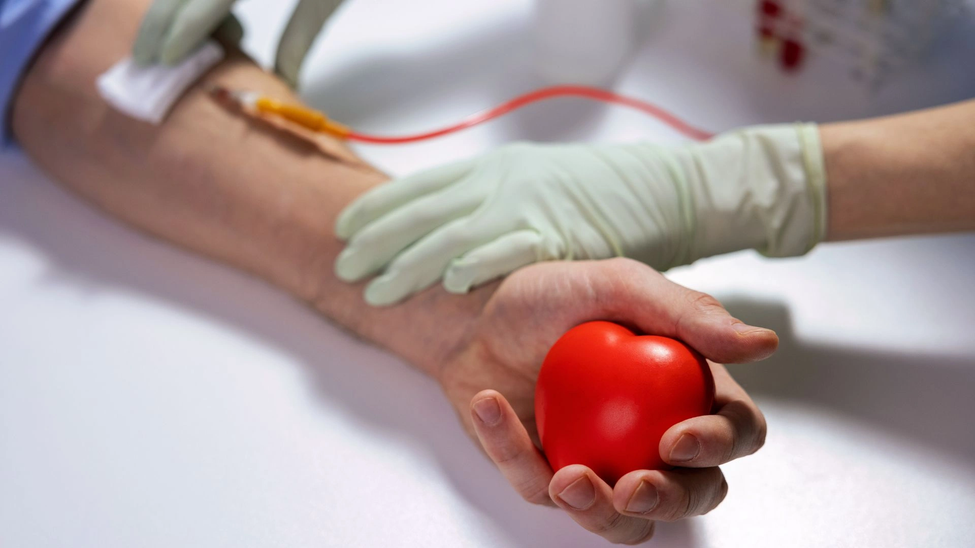 500 мл, которые спасают жизни: как проходит донорство и что происходит с кровью после