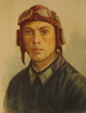 Герой Советского Союза Николай Гастелло