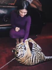 Карина Каспарянц с тигренком