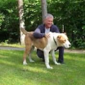 Вячеслав Володин с собакой