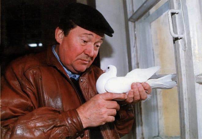 Виктор Павлов разводил голубей