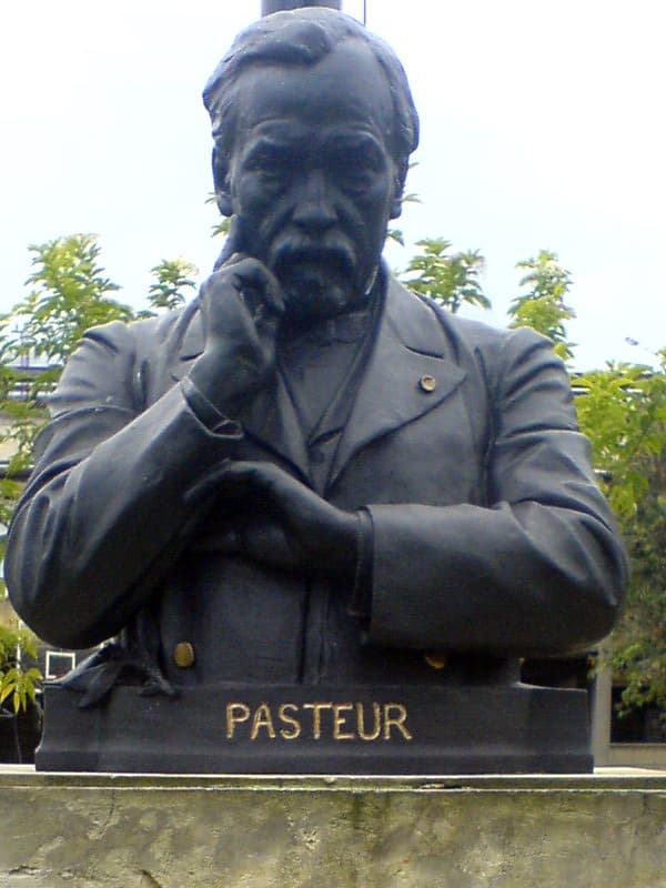 Памятник Луи Пастера