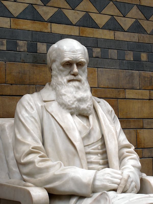 Статуя Чарльза Дарвина
