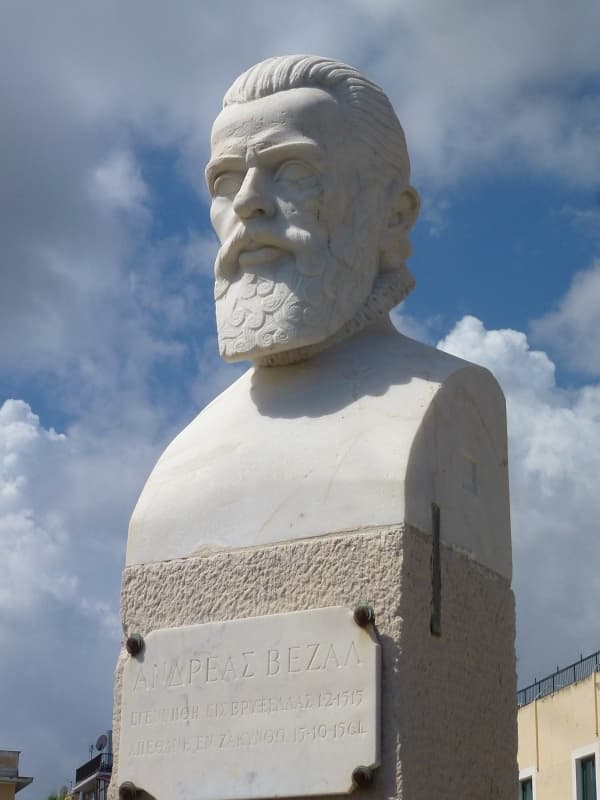 Памятник Андреасу Везалию
